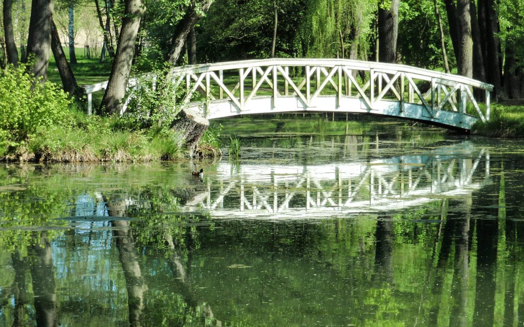 Online Ärztetagung „Gesund in eine neue Zeit“