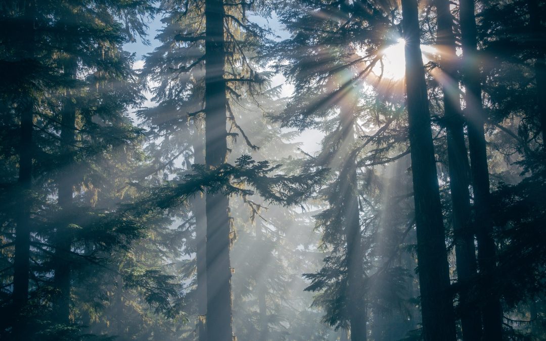 Mein Weg aus der Müdigkeit und Kraftlosigkeit – ich möchte weiter lernen