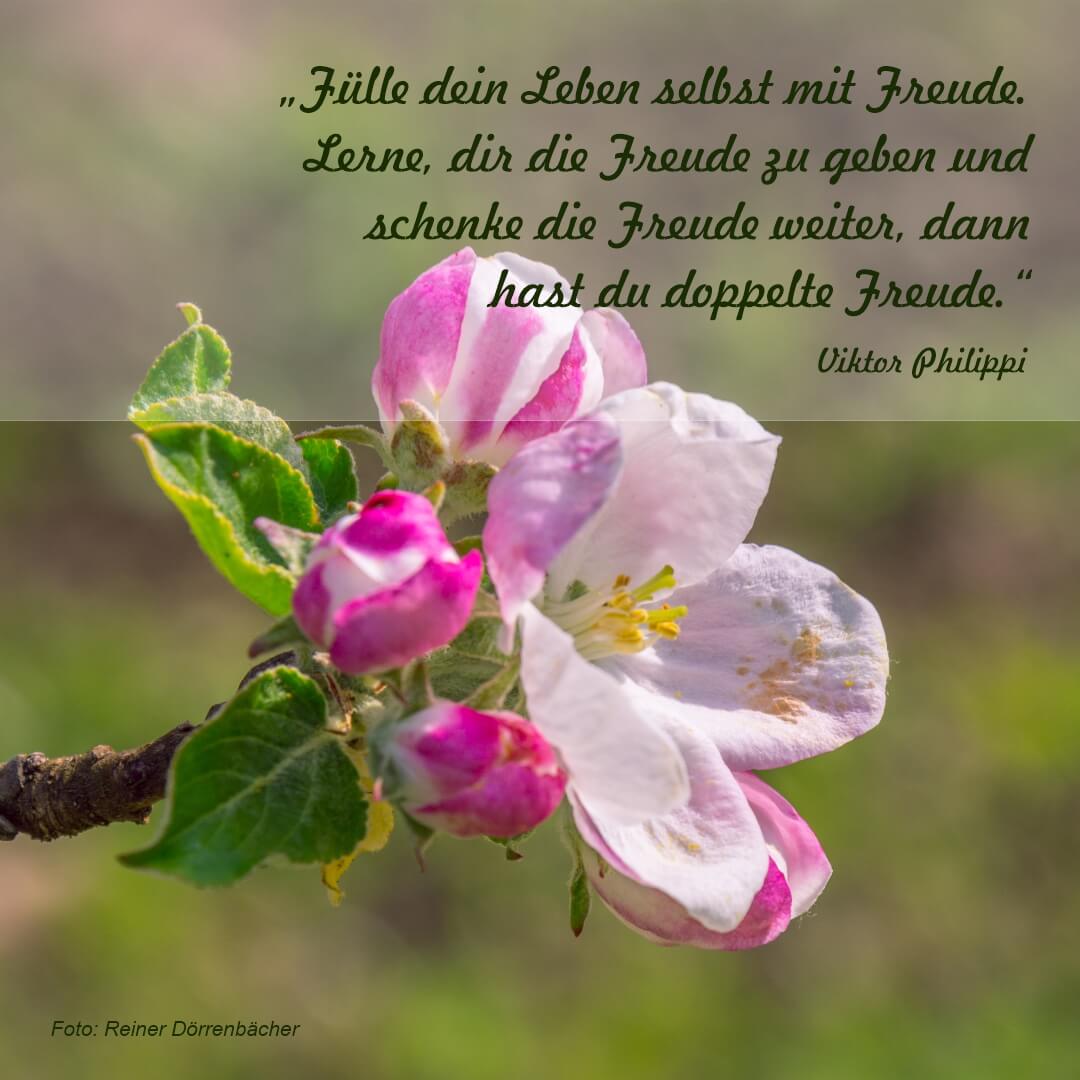 2023-02-23-Zitat