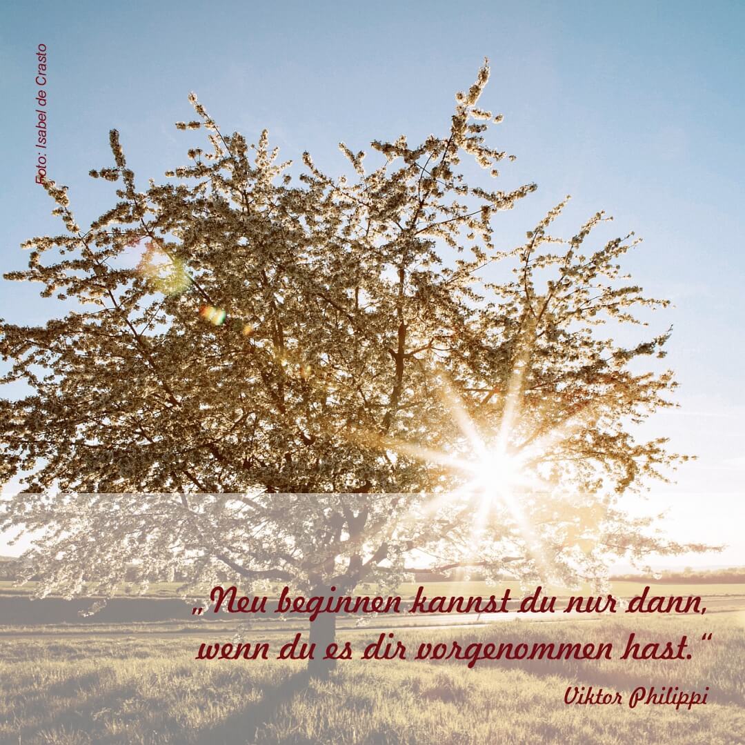 2023-03-21-Zitat
