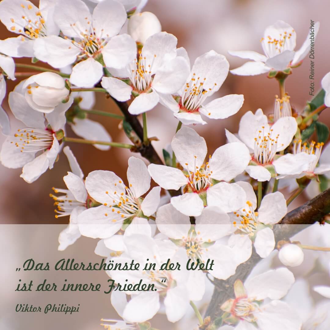 2023-03-23-Zitat
