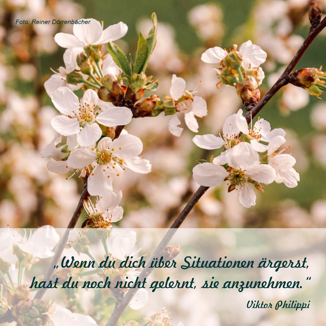 2023-04-02-Zitat