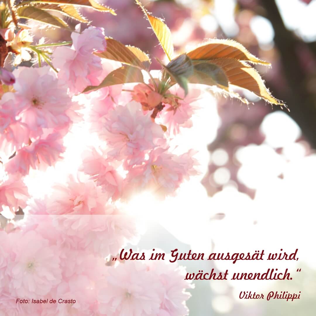 2023-04-08-Zitat