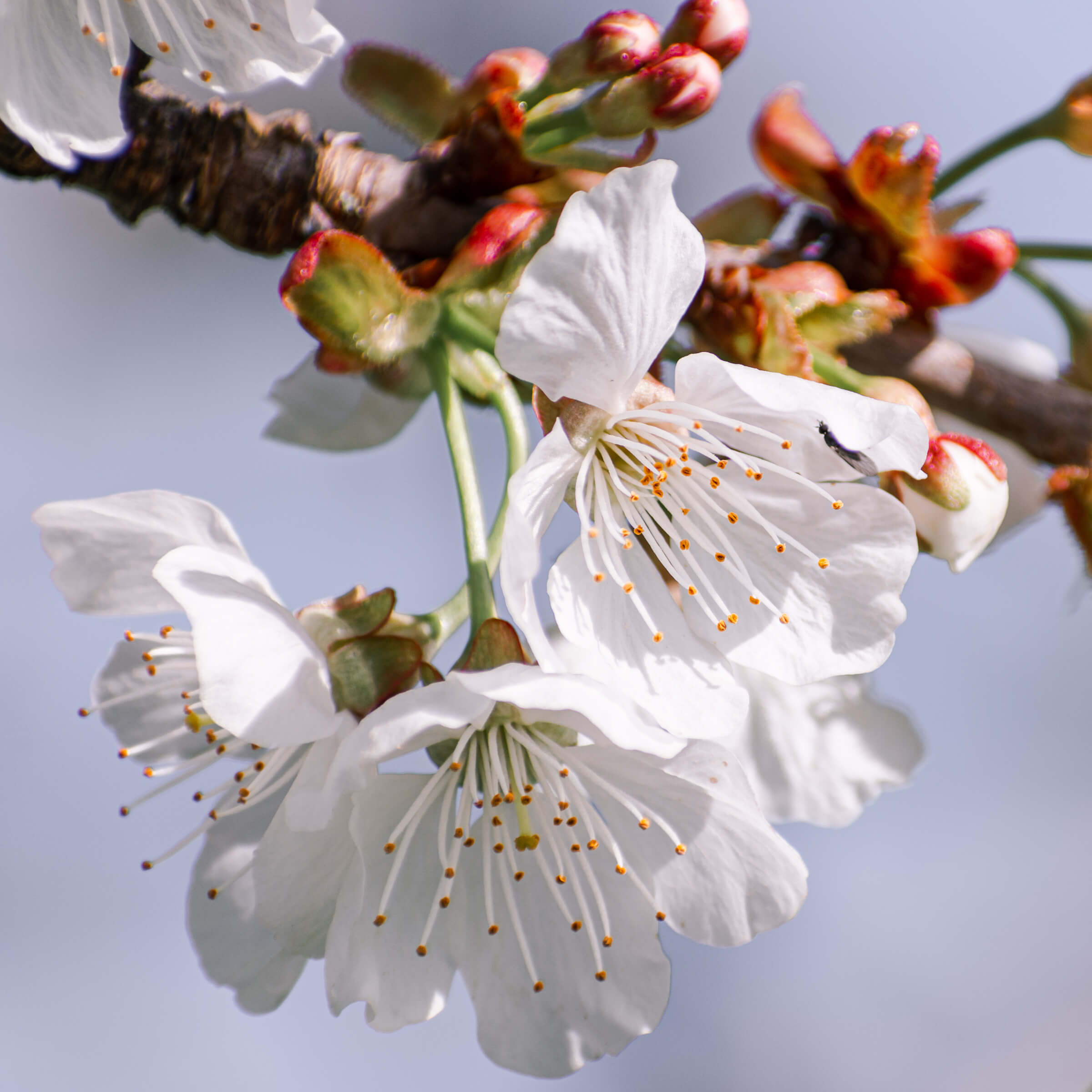 Neuigkeiten PhilippiMethode