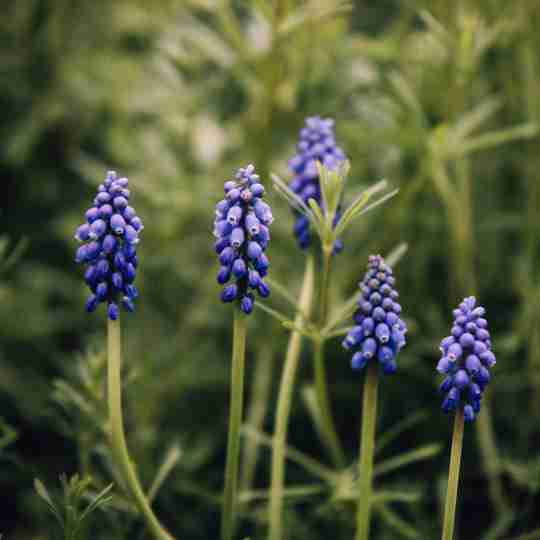 Fastenzeit-Kalender: „Genesung ist der Frühling der Gesundheit“