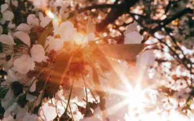 Fastenzeit-Kalender: „Das Allerschönste in der Welt ist der innere Frieden“