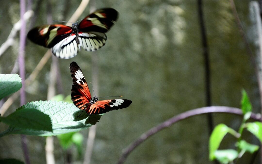 Kindliche Freude wiederentdeckt: aus Neugier zum Biosens