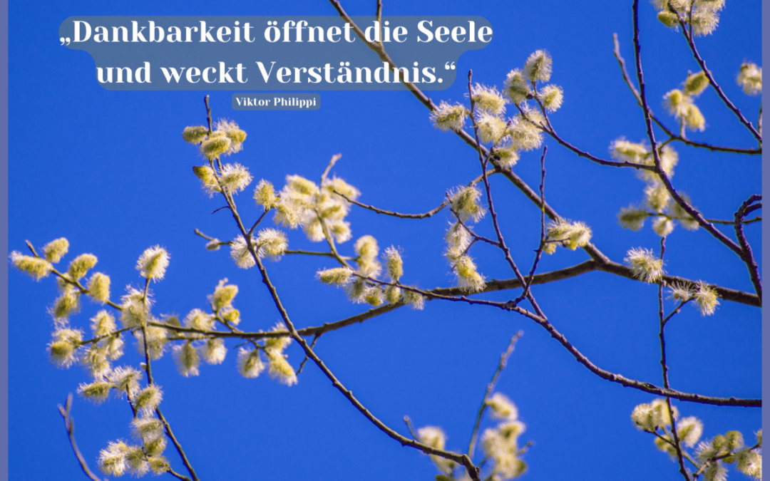 Fastenzeit-Kalender: 8. März