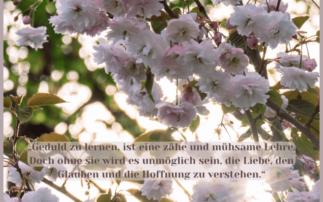 Fastenzeit-Kalender: 10. März