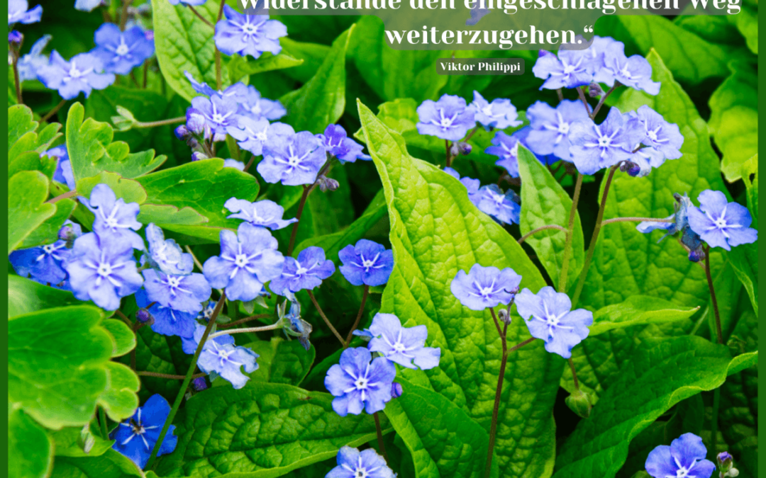 Fastenzeit-Kalender: 16. März