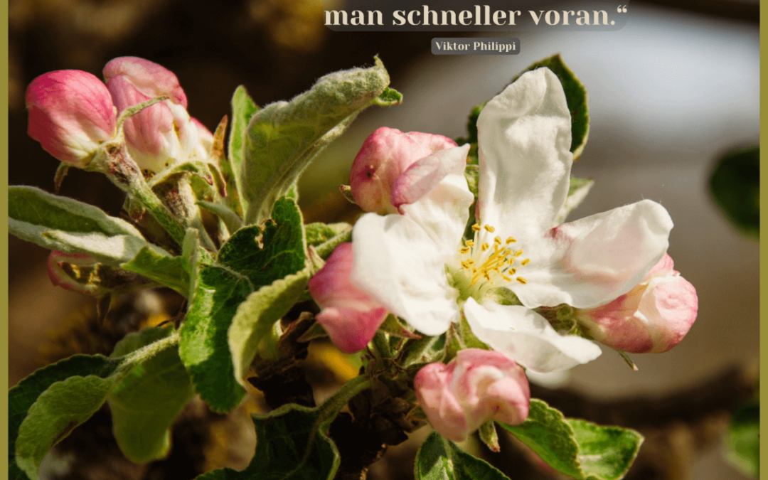 Fastenzeit-Kalender: 18. März