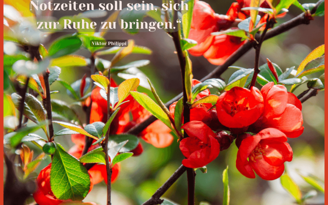 Fastenzeit-Kalender: 20. März