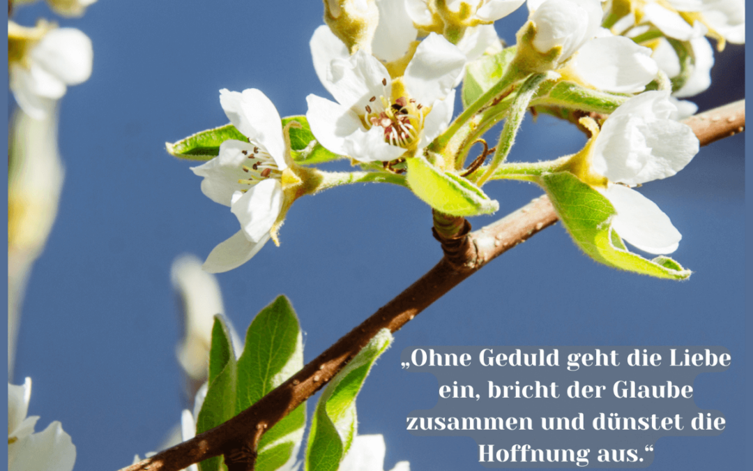 Fastenzeit-Kalender: 22. März