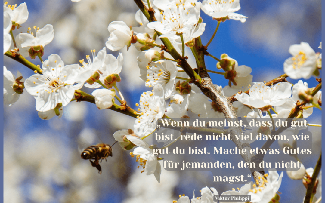 Fastenzeit-Kalender: 26. März