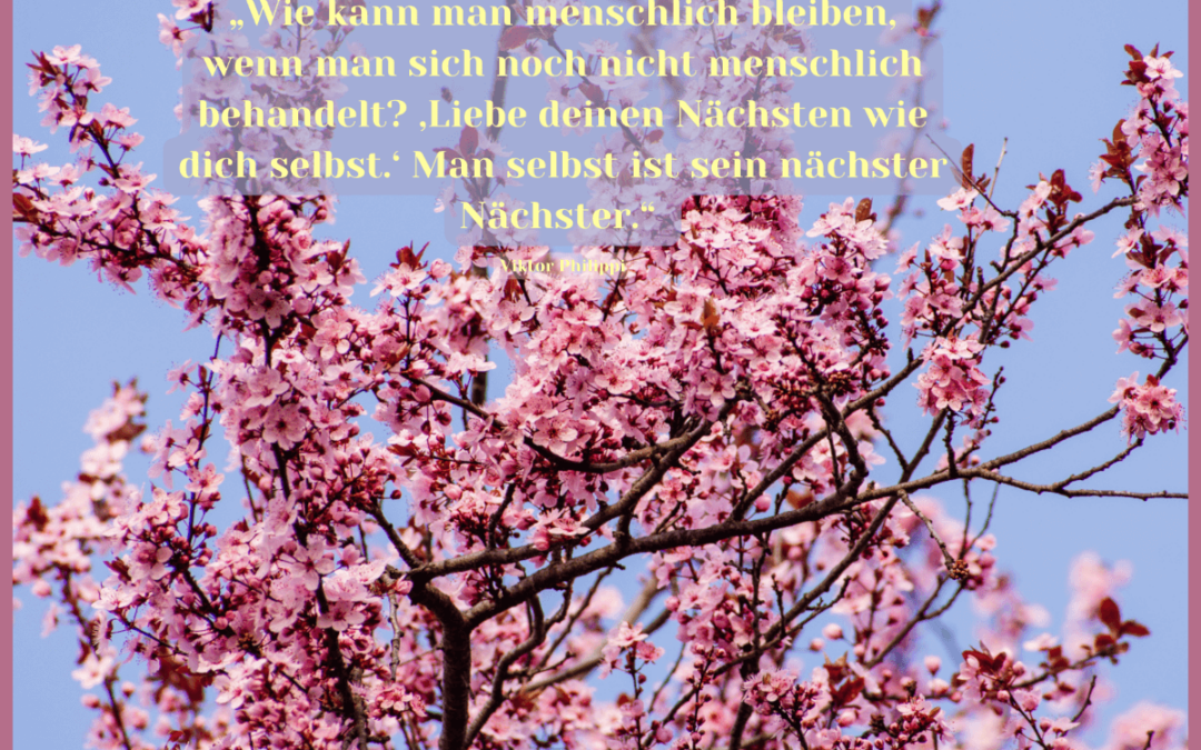 Fastenzeit-Kalender: 1. April