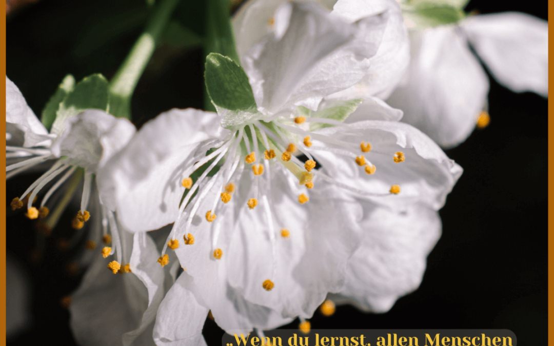 Fastenzeit-Kalender: 9. April