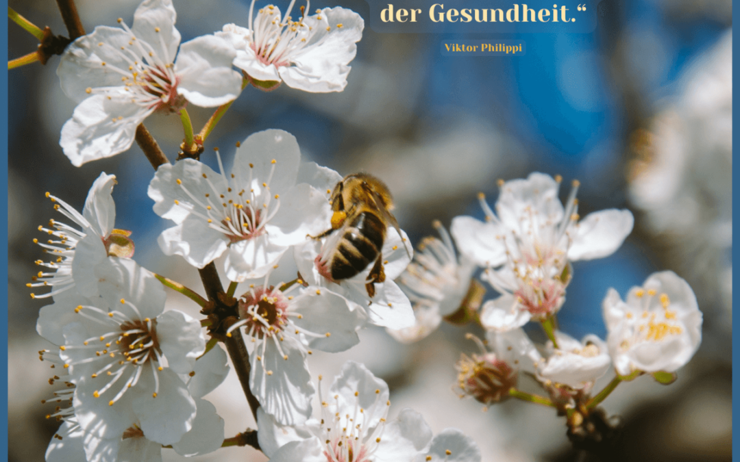 Fastenzeit-Kalender: 19. April