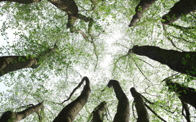 Ärztetagung für Ärzt:innen und Interessierte