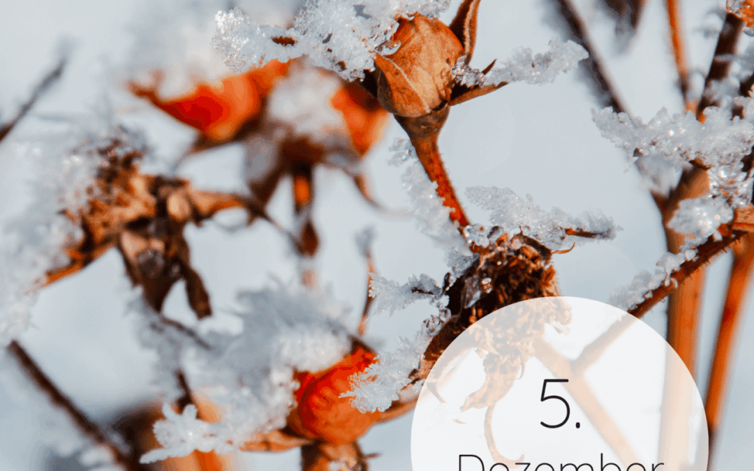 Adventskalender 2025: 05. Dezember