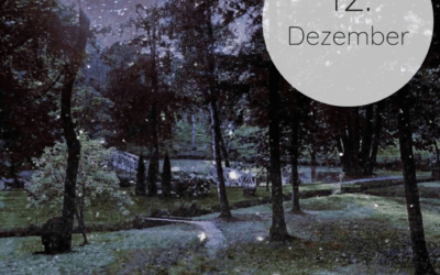 Adventskalender 2025: 12. Dezember