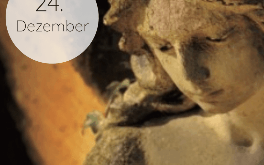 Adventskalender 2025: 24. Dezember