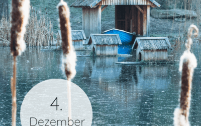 Adventskalender 2025: 04. Dezember
