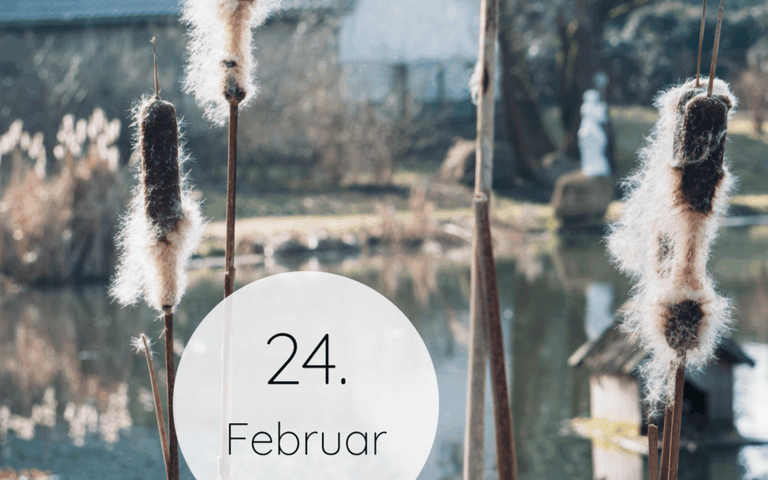 Fastenzeit-Kalender 2026: 24. Februar