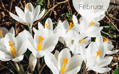 Fastenzeit-Kalender 2026: 25. Februar