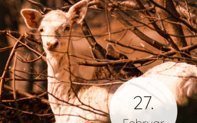 Fastenzeit-Kalender 2026: 27. Februar