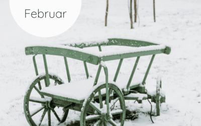 Fastenzeit-Kalender 2026: 20. Februar