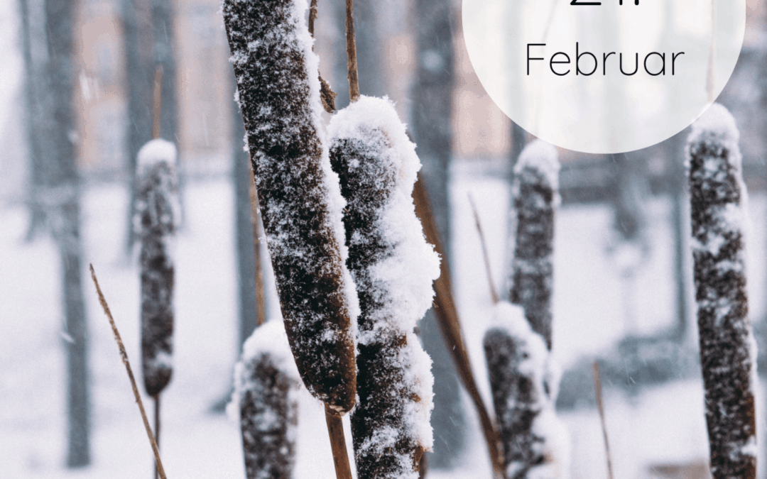 Fastenzeit-Kalender 2026: 21. Februar