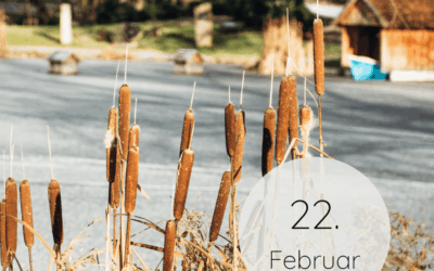 Fastenzeit-Kalender 2026: 22. Februar