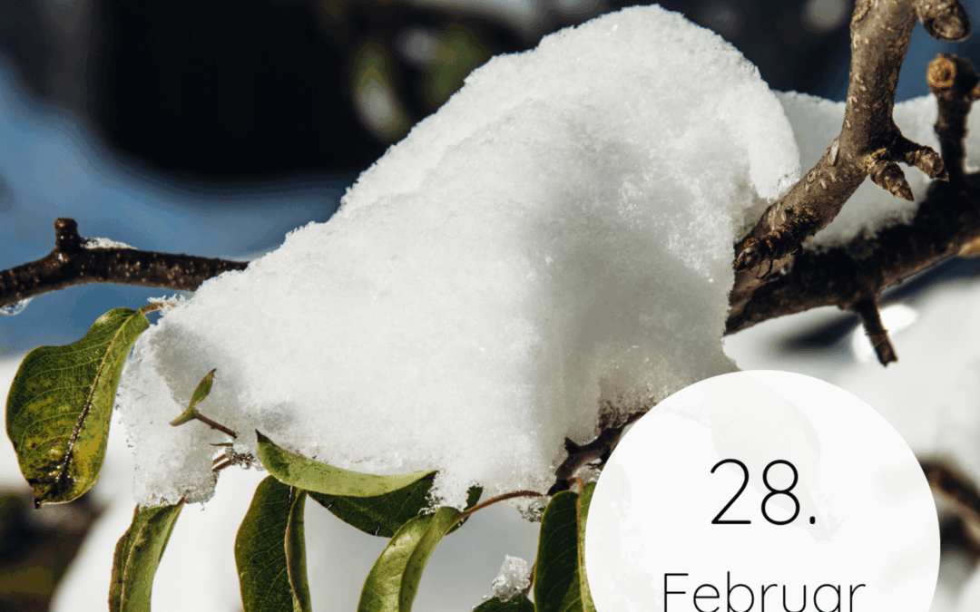 Fastenzeit-Kalender 2026: 28. Februar