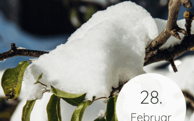 Fastenzeit-Kalender 2026: 28. Februar