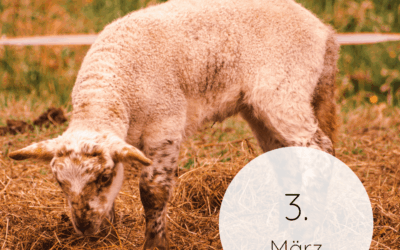 Fastenzeit-Kalender 2026: 3. März