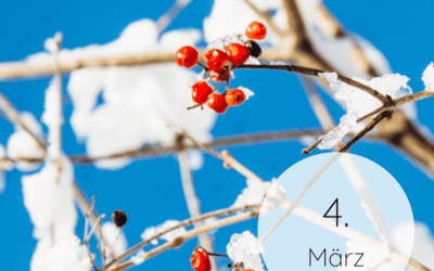 Fastenzeit-Kalender 2026: 4. März