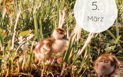 Fastenzeit-Kalender 2026: 5. März