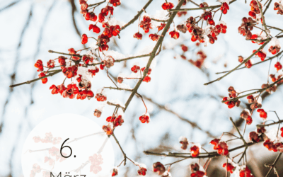 Fastenzeit-Kalender 2026: 6. März