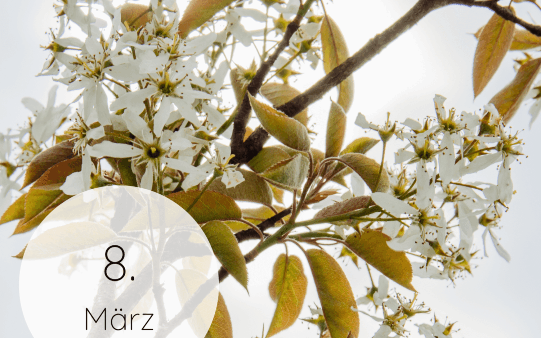 Fastenzeit-Kalender 2026: 8. März