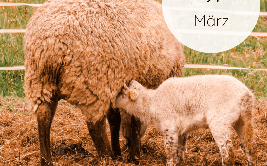 Fastenzeit-Kalender 2026: 9. März