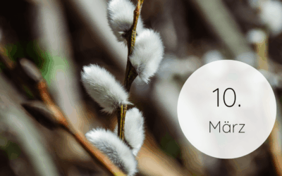 Fastenzeit-Kalender 2026: 10. März