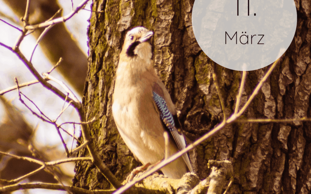 Fastenzeit-Kalender 2026: 11. März