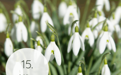 Fastenzeit-Kalender 2026: 15. März