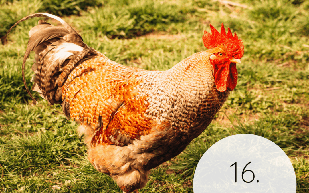 Fastenzeit-Kalender 2026: 16. März