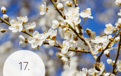 Fastenzeit-Kalender 2026: 17. März