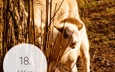 Fastenzeit-Kalender 2026: 18. März