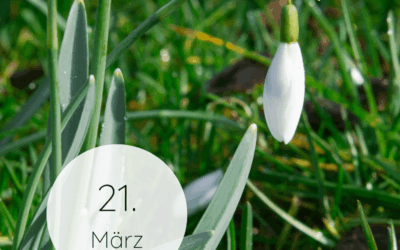 Fastenzeit-Kalender 2026: 21. März