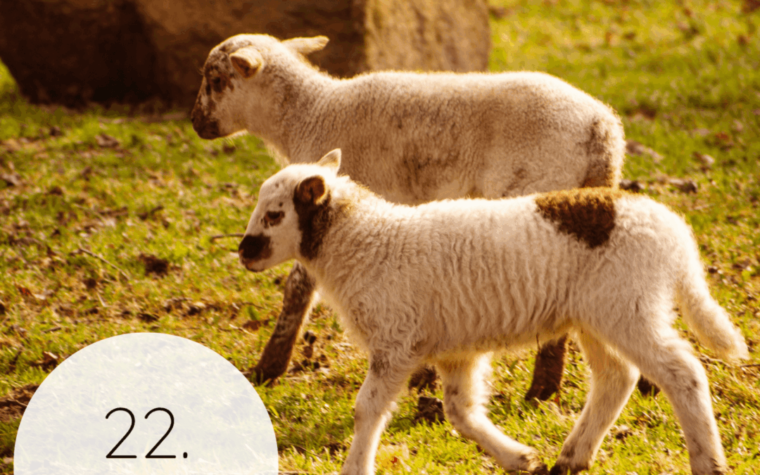 Fastenzeit-Kalender 2026: 22. März