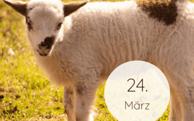 Fastenzeit-Kalender 2026: 24. März