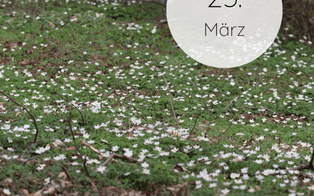 Fastenzeit-Kalender 2026: 25. März